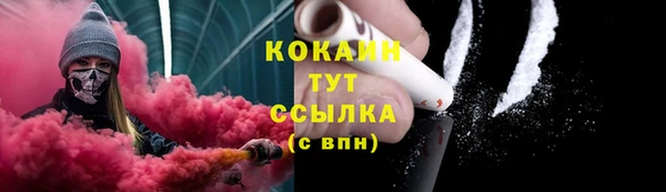 2c-b Краснослободск
