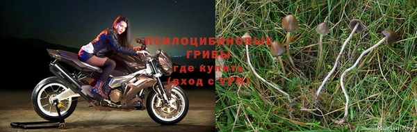 2c-b Краснослободск